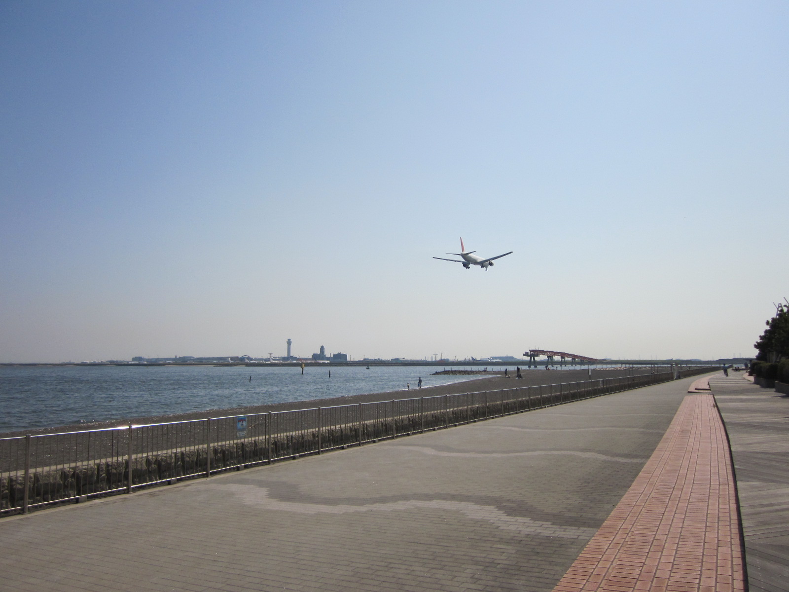 つばさ浜-2