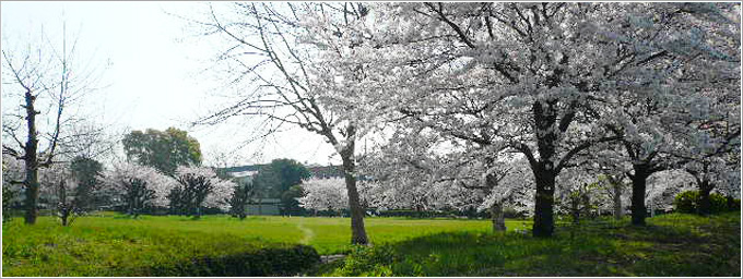 京浜島ふ頭公園-