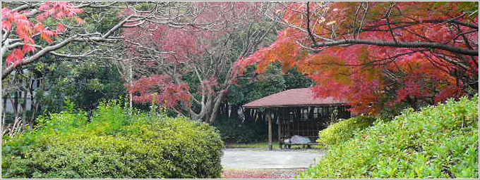 みなとが丘ふ頭公園-